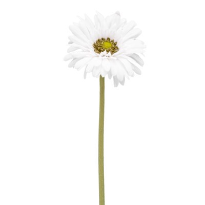 Gerbera Daisy Real Touch 24in