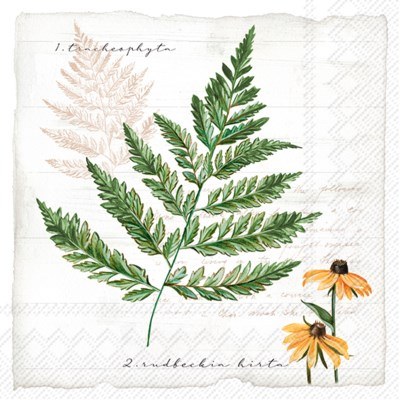 Napkins Lunch Little Fern