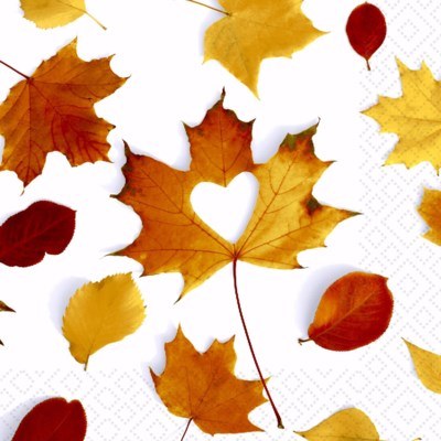 Lunch Napkins Fall Leaves