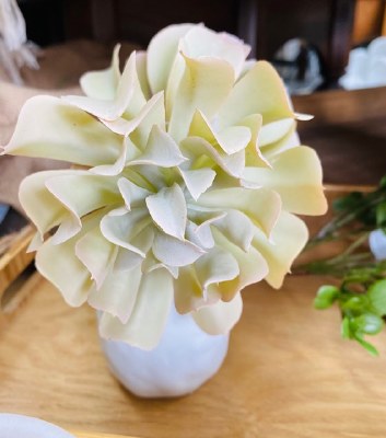 Ruffle Succulent Pick