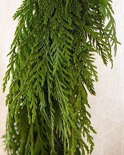 Fresh Touch Garland 60in
