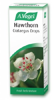Crataegus Oxyacantha (Hawthorn