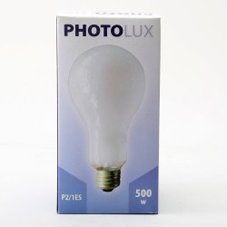 PHOTOFLOOD 240V 500W