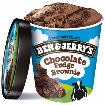 Ben And Jerry Chocolate Fudge