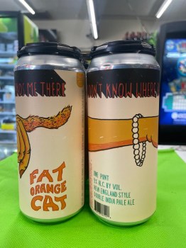 Fat Orange Cat Dipa Idk Who