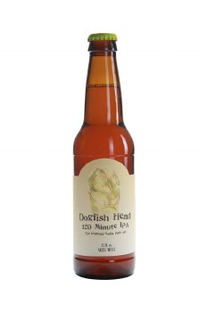 Dogfish Head 120 Min Ipa