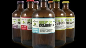 Brew Dr Kombucha Seasonal