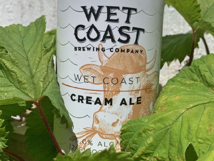 Wet Coast Cream Ale 6pk C