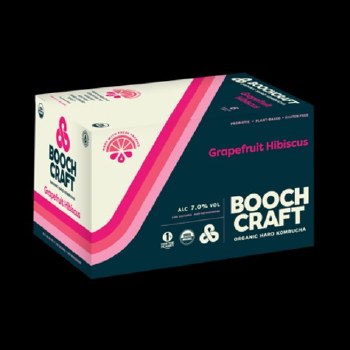 Booch Craft Starwberry Lem