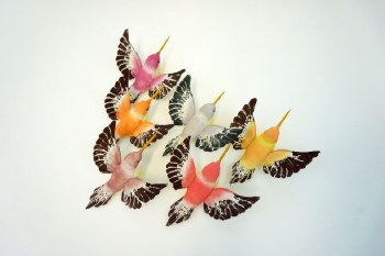 HUMMING BIRD-PASTEL 3.5&quot; BX/12