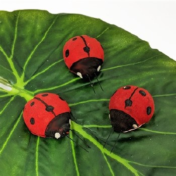 LADYBUG LARGE, BX/2 DZ.-RED