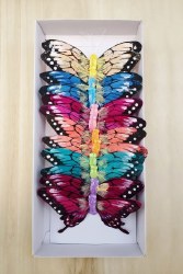 BUTTERFLY 5" BX/12-MULTI