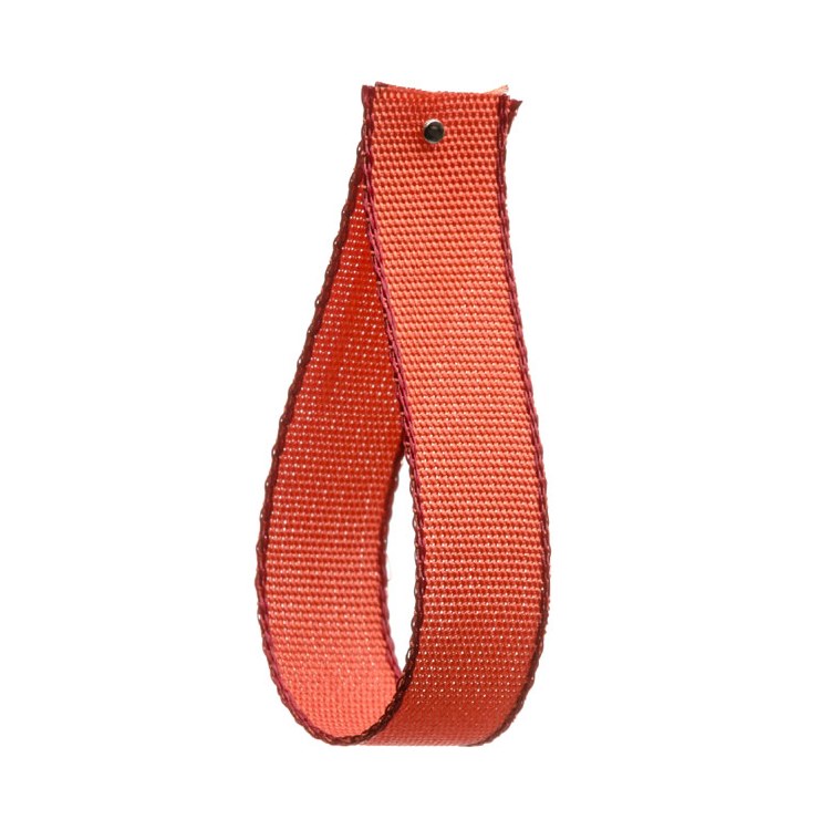 Red Squirrel Coloured Edge Ribbon 10 mm