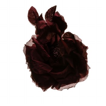 Dark Amarylis Blown Rose 20 mm