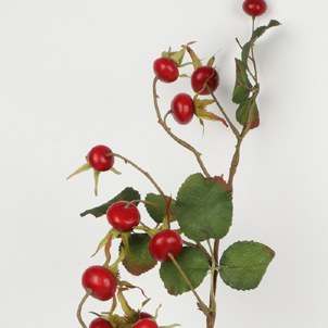 Red Rose Hip Branch 1050 mm