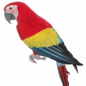 Red Feather Parrot 420 mm