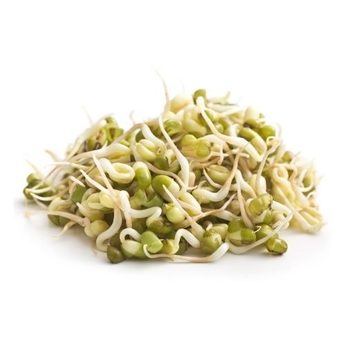 Organic Sprouts Mung 200G Punnet