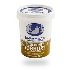 Yoghurt Bush Honey 200G Tub