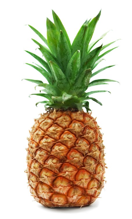 Organic Pineapple Each