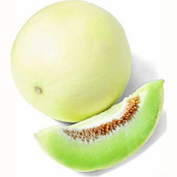 Organic Honey Dew Each