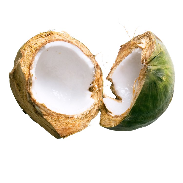 Organic Coconuts Young Each