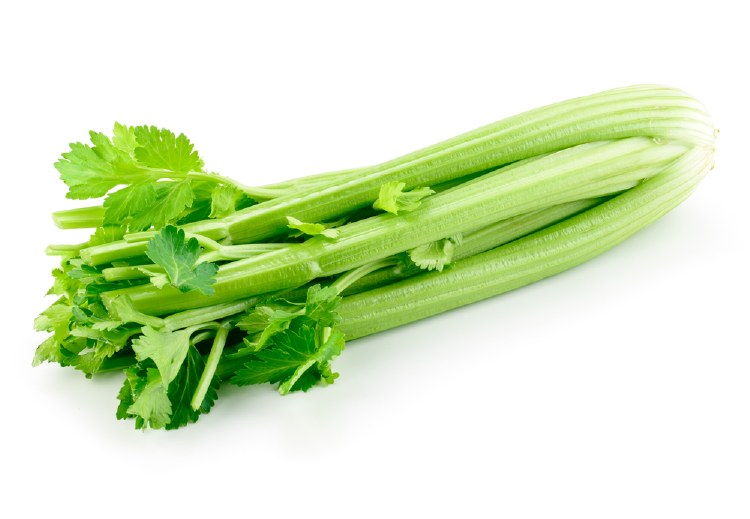 Organic Celery Half Bunch