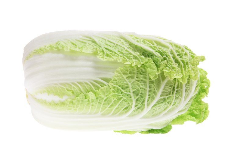 Organic Cabbage Wombok Whole