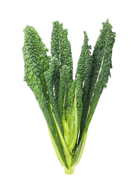 Organic Kale Cavolo Nero Bunch