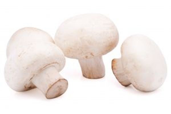 Organic Mushroom Button 180G Punnet