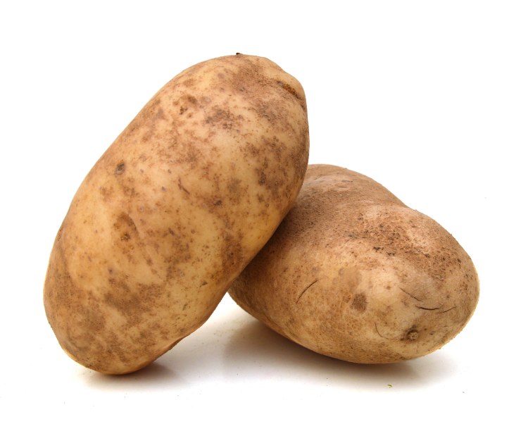 Organic Potato Nicola 500g