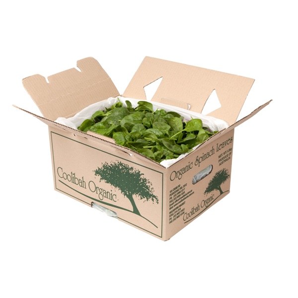 Organic Spinach Baby 1.5kg