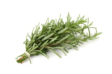 Organic Herb Rosemary Bunch