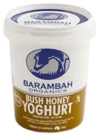 Yoghurt Bush Honey 500G Tub