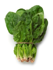 Organic Spinach English Bunch