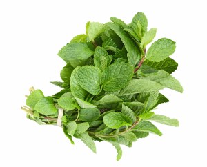 Organic Herb Mint Bunch