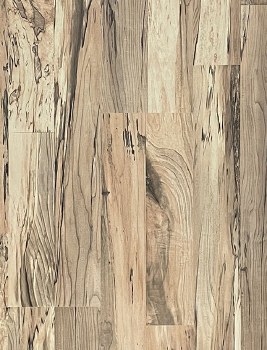 SPALTED MAPLE - 8MM