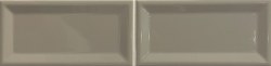 COLOR COLLECTION TEXTURES BRIGHT TENDER GRAY COLOR COLLECTION TEXTURES BRIGHT TENDER GRAY