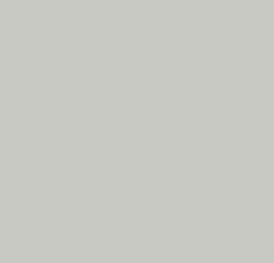 EVERCOLOR PQ - MISTY GRAY EVERCOLOR PQ - MISTY GRAY