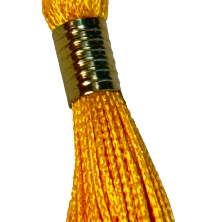 CLAS - BS, MS, MST, MEM