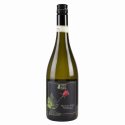 Stefano Farina Moscato D'asti