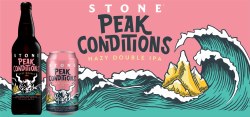 Stone Zumology Ipa 6pk