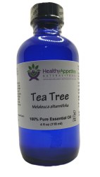 HEALTHY APPETITES Tea Tree Essential Oil 4 oz