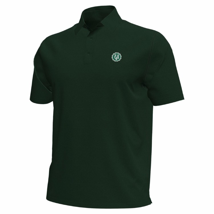UA Polo Green Small
