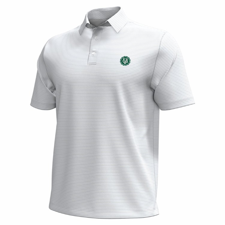 Under Armour Polo Striped Smal
