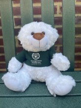 Stuffed Bear/wh and br