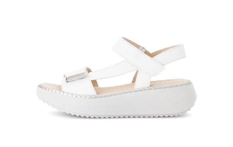 64.593 White Wedge 6 UK / 39 E