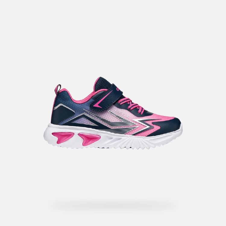 Assister Navy/Fuchsia 10 UK /