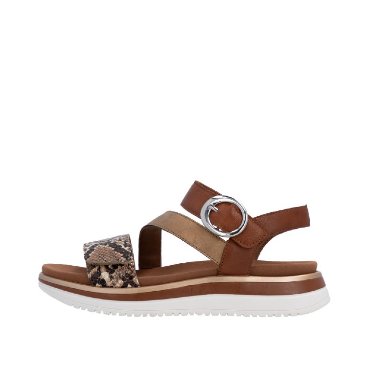 D1J64 Brown / Muskat