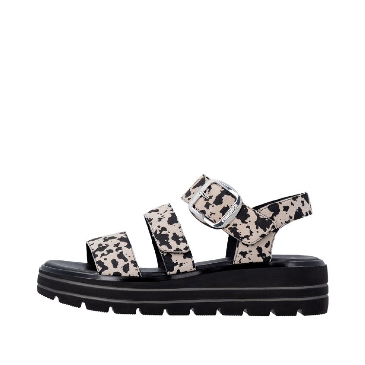 D3N50 Iceberg / Black