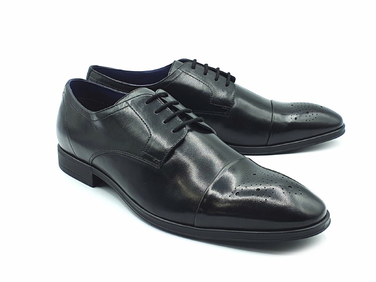 Darcy Black